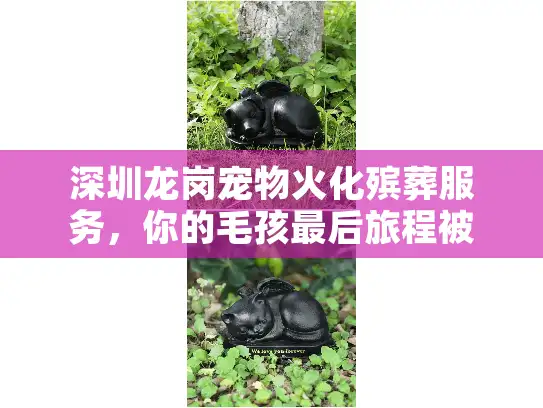 深圳龙岗宠物火化殡葬服务,你的毛孩最后旅程被坑过吗? 深圳龙岗宠物火化殡葬服务,你的毛孩最后旅程被坑过吗?