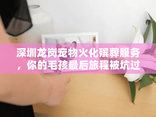 深圳龙岗宠物火化殡葬服务,你的毛孩最后旅程被坑过吗? 深圳龙岗宠物火化殡葬服务,你的毛孩最后旅程被坑过吗?
