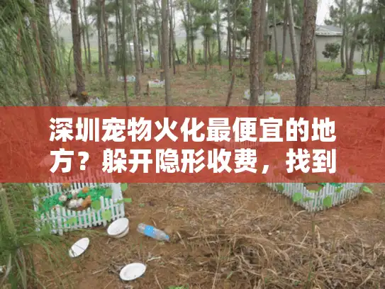 深圳宠物火化最便宜的地方?躲开隐形收费,找到真正实惠的实战秘诀! 深圳宠物火化最便宜的地方?躲开隐形收费,找到真正实惠的实战秘诀!