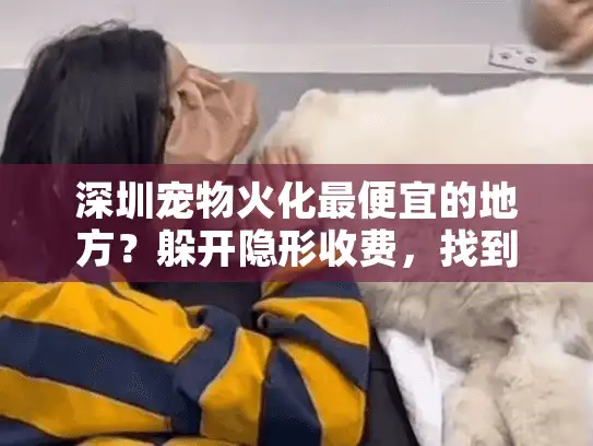 深圳宠物火化最便宜的地方?躲开隐形收费,找到真正实惠的实战秘诀! 深圳宠物火化最便宜的地方?躲开隐形收费,找到真正实惠的实战秘诀!
