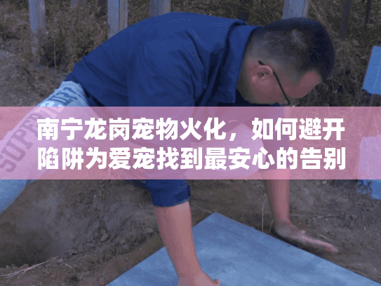南宁龙岗宠物火化，如何避开陷阱为爱宠找到最安心的告别方案？