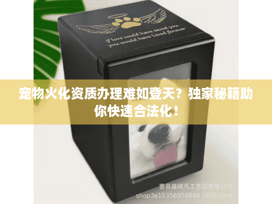 宠物火化资质办理难如登天？独家秘籍助你快速合法化！
