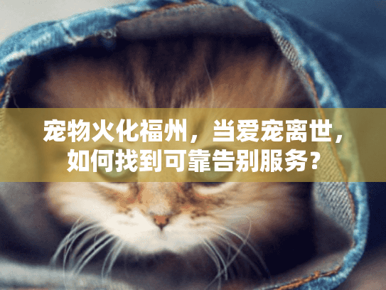 宠物火化福州，当爱宠离世，如何找到可靠告别服务？