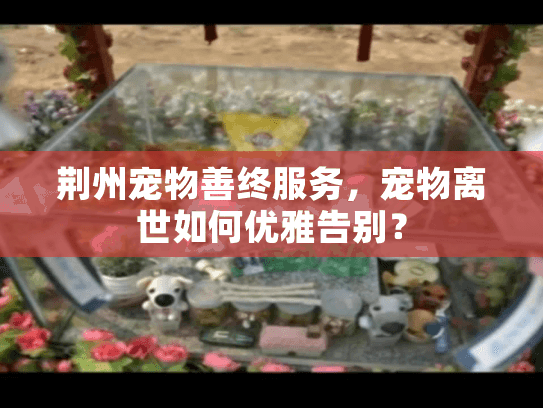 荆州宠物善终服务,宠物离世如何优雅告别? 荆州宠物善终服务,宠物离世如何优雅告别?