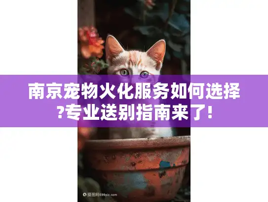 南京宠物火化服务如何选择?专业送别指南来了!