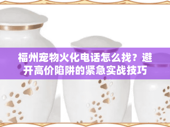 福州宠物火化电话怎么找？避开高价陷阱的紧急实战技巧