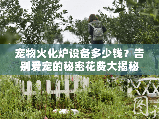 宠物火化炉设备多少钱？告别爱宠的秘密花费大揭秘