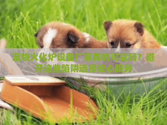 宠物火化炉设备厂家真的可靠吗？避开这些陷阱选择安心服务