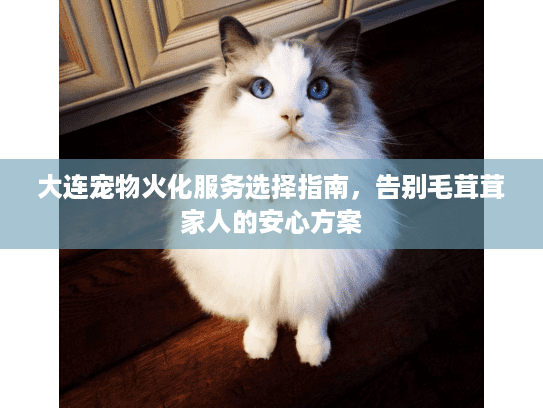 大连宠物火化服务选择指南，告别毛茸茸家人的安心方案