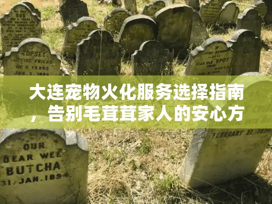 大连宠物火化服务选择指南，告别毛茸茸家人的安心方案