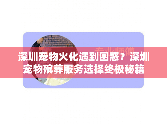 深圳宠物火化遇到困惑？深圳宠物殡葬服务选择终极秘籍