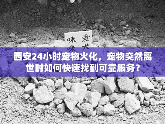 西安24小时宠物火化，宠物突然离世时如何快速找到可靠服务？
