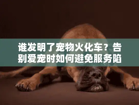 谁发明了宠物火化车?告别爱宠时如何避免服务陷阱 谁发明了宠物火化车?告别爱宠时如何避免服务陷阱