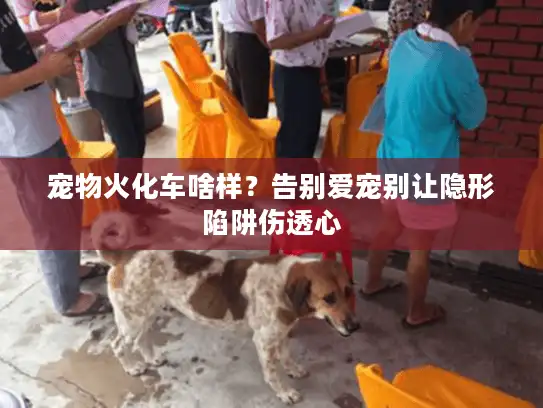 宠物火化车啥样？告别爱宠别让隐形陷阱伤透心