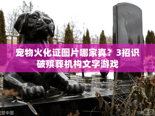 宠物火化证图片哪家真？3招识破殡葬机构文字游戏