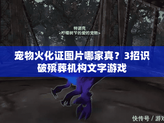 宠物火化证图片哪家真？3招识破殡葬机构文字游戏