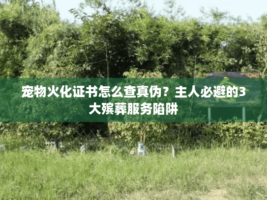 宠物火化证书怎么查真伪？主人必避的3大殡葬服务陷阱