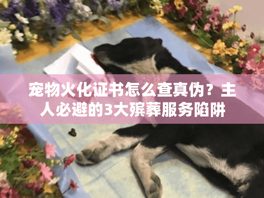 宠物火化证书怎么查真伪？主人必避的3大殡葬服务陷阱