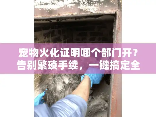 宠物火化证明哪个部门开？告别繁琐手续，一键搞定全流程