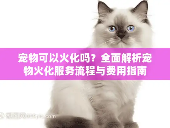 宠物可以火化吗?全面解析宠物火化服务流程与费用指南 宠物可以火化吗?全面解析宠物火化服务流程与费用指南