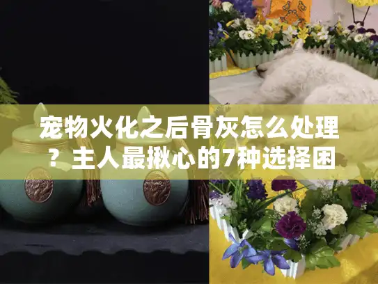 宠物火化之后骨灰怎么处理？主人最揪心的7种选择困境