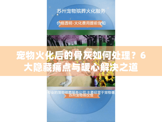 宠物火化后的骨灰如何处理?6大隐藏痛点与暖心解决之道 宠物火化后的骨灰如何处理?6大隐藏痛点与暖心解决之道