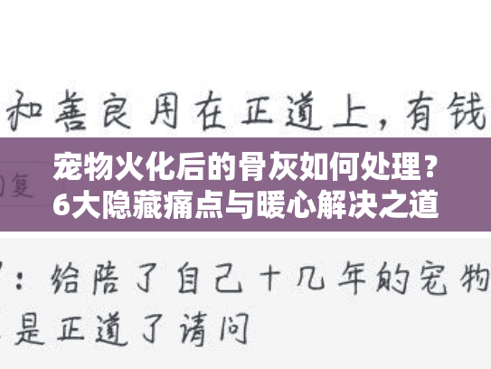 宠物火化后的骨灰如何处理?6大隐藏痛点与暖心解决之道 宠物火化后的骨灰如何处理?6大隐藏痛点与暖心解决之道