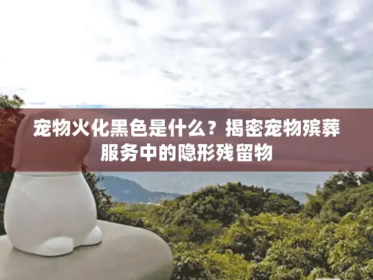 宠物火化黑色是什么？揭密宠物殡葬服务中的隐形残留物