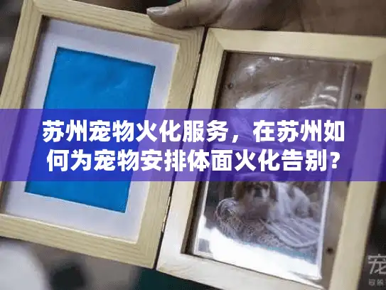 苏州宠物火化服务，在苏州如何为宠物安排体面火化告别？