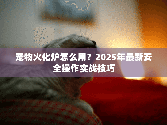 宠物火化炉怎么用？2025年最新安全操作实战技巧