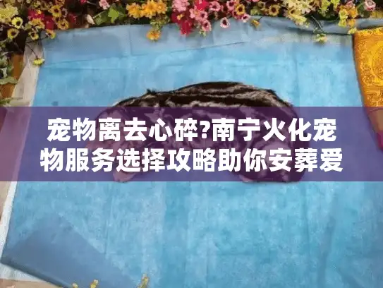 宠物离去心碎?南宁火化宠物服务选择攻略助你安葬爱宠 宠物离去心碎?南宁火化宠物服务选择攻略助你安葬爱宠