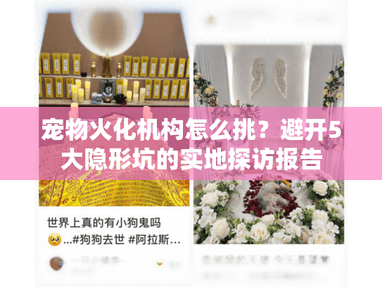 宠物火化机构怎么挑？避开5大隐形坑的实地探访报告