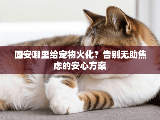 固安哪里给宠物火化？告别无助焦虑的安心方案