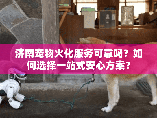 济南宠物火化服务可靠吗？如何选择一站式安心方案？