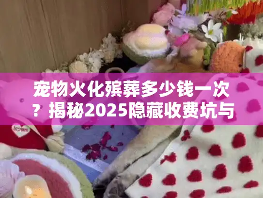 宠物火化殡葬多少钱一次？揭秘2025隐藏收费坑与省钱实战策略