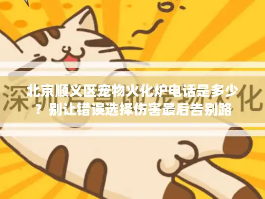 北京顺义区宠物火化炉电话是多少？别让错误选择伤害最后告别路