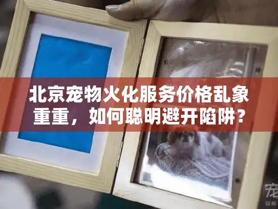 北京宠物火化服务价格乱象重重，如何聪明避开陷阱？