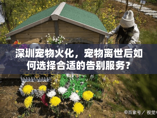 深圳宠物火化，宠物离世后如何选择合适的告别服务？