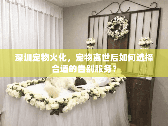 深圳宠物火化，宠物离世后如何选择合适的告别服务？