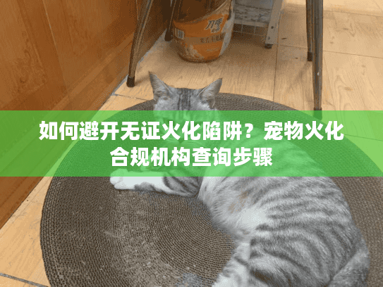 如何避开无证火化陷阱？宠物火化合规机构查询步骤