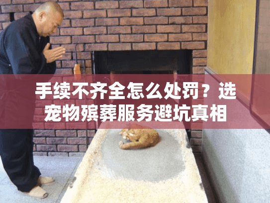 手续不齐全怎么处罚？选宠物殡葬服务避坑真相
