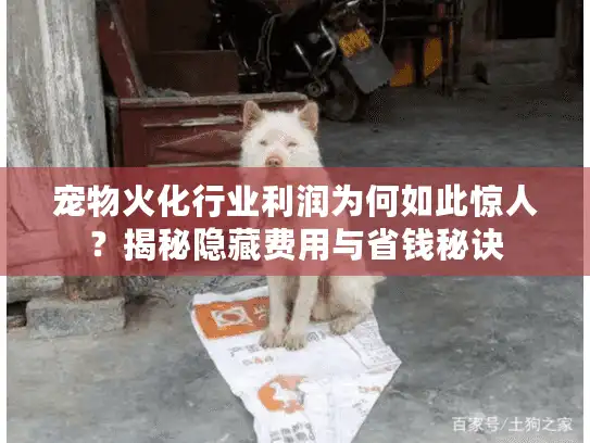 宠物火化行业利润为何如此惊人？揭秘隐藏费用与省钱秘诀