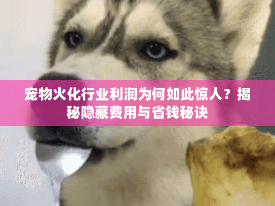 宠物火化行业利润为何如此惊人？揭秘隐藏费用与省钱秘诀