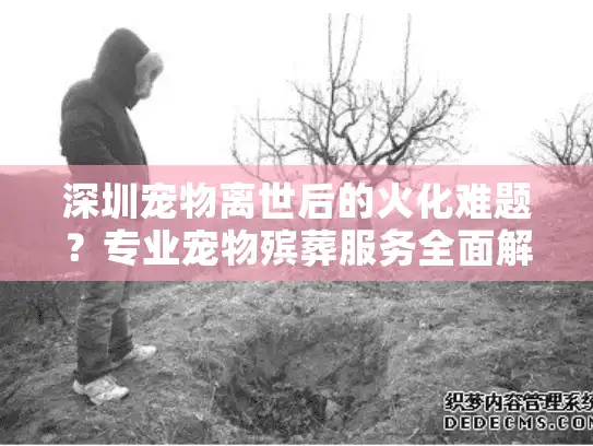深圳宠物离世后的火化难题?专业宠物殡葬服务全面解析 深圳宠物离世后的火化难题?专业宠物殡葬服务全面解析