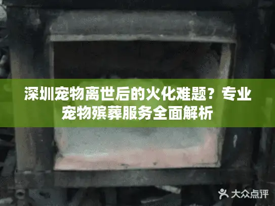 深圳宠物离世后的火化难题?专业宠物殡葬服务全面解析 深圳宠物离世后的火化难题?专业宠物殡葬服务全面解析