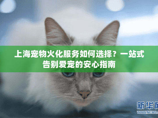 上海宠物火化服务如何选择？一站式告别爱宠的安心指南