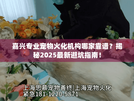 嘉兴专业宠物火化机构哪家靠谱?揭秘2025最新避坑指南! 嘉兴专业宠物火化机构哪家靠谱?揭秘2025最新避坑指南!