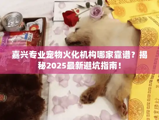 嘉兴专业宠物火化机构哪家靠谱?揭秘2025最新避坑指南! 嘉兴专业宠物火化机构哪家靠谱?揭秘2025最新避坑指南!