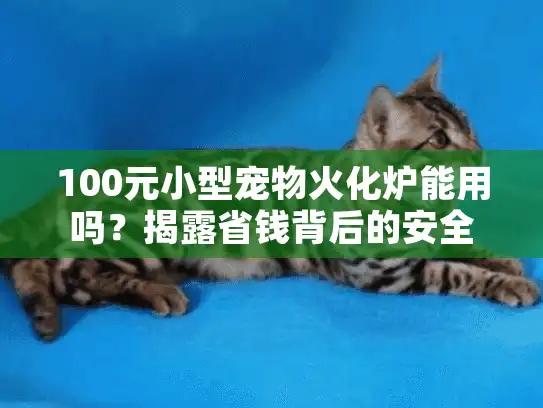 100元小型宠物火化炉能用吗?揭露省钱背后的安全黑洞! 100元小型宠物火化炉能用吗?揭露省钱背后的安全黑洞!