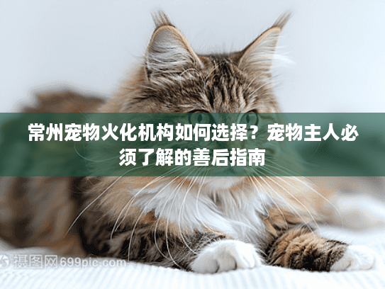 常州宠物火化机构如何选择？宠物主人必须了解的善后指南
